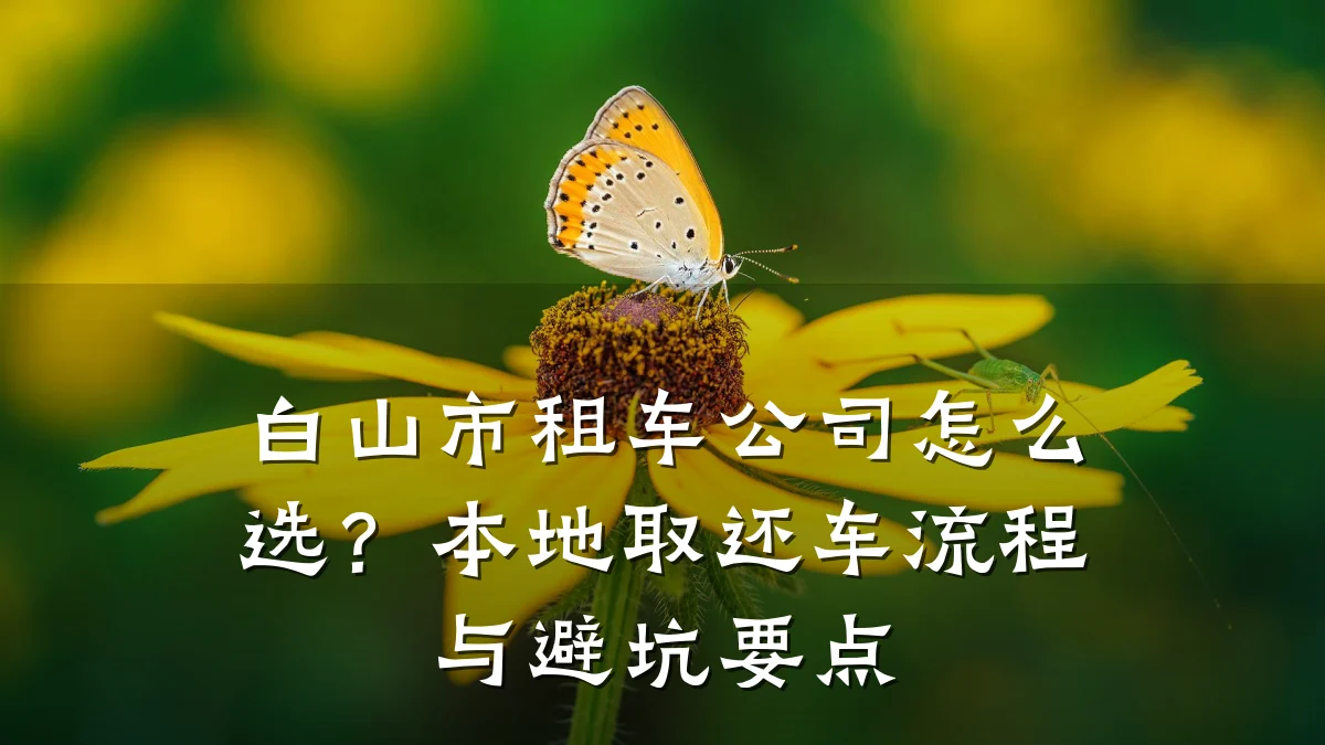 白山市租车公司怎么选?本地取还车流程与避坑要点