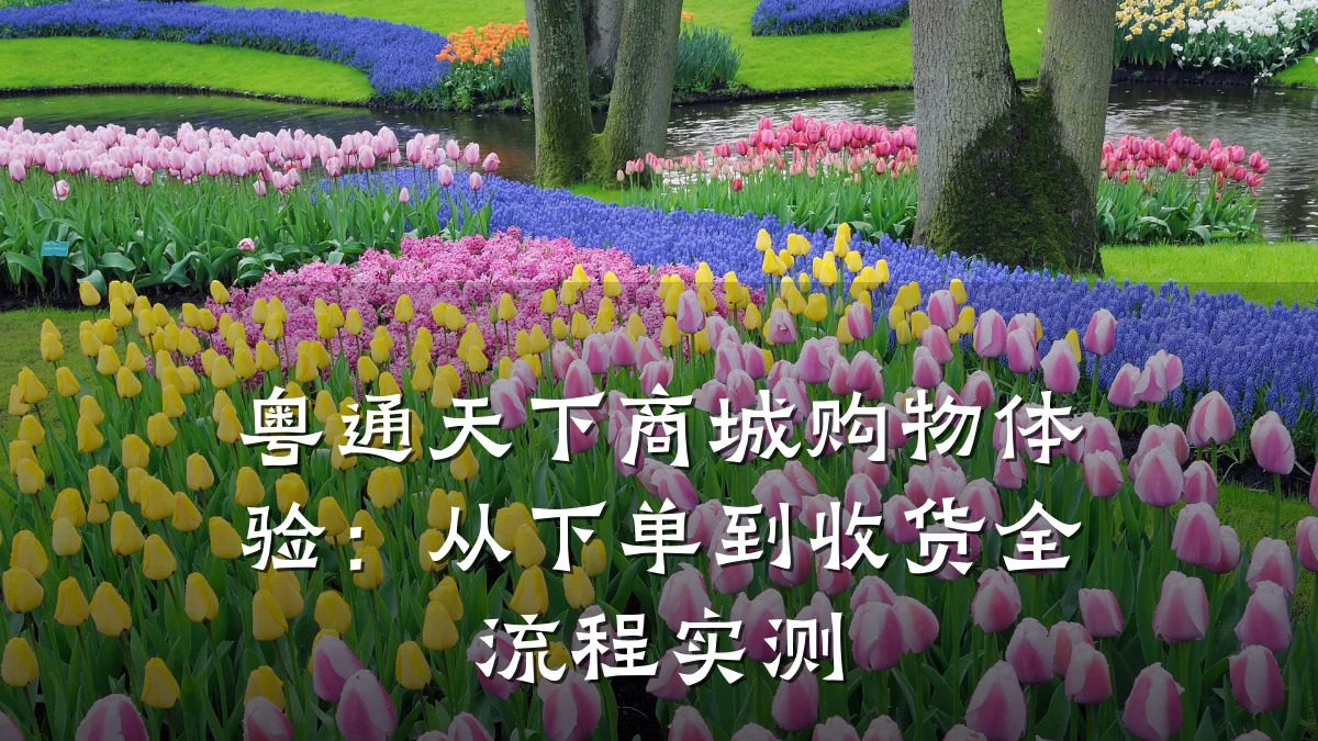 粤通天下商城购物体验：从下单到收货全流程实测