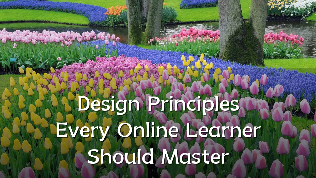 Design Principles Every Online Learner Should Master