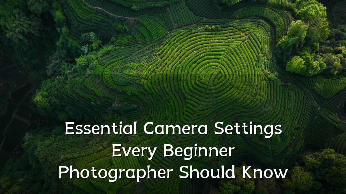 Essential Camera Settings Every Beginner Photographer Should Know