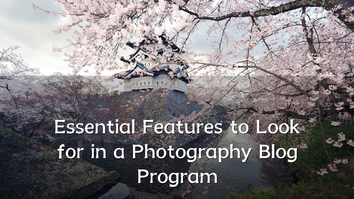 Essential Features to Look for in a Photography Blog Program