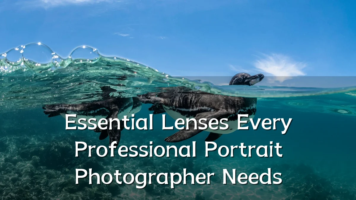 Essential Lenses Every Professional Portrait Photographer Needs