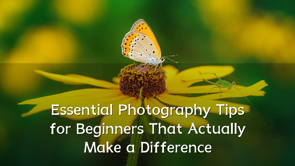 Essential Photography Tips for Beginners That Actually Make a Difference