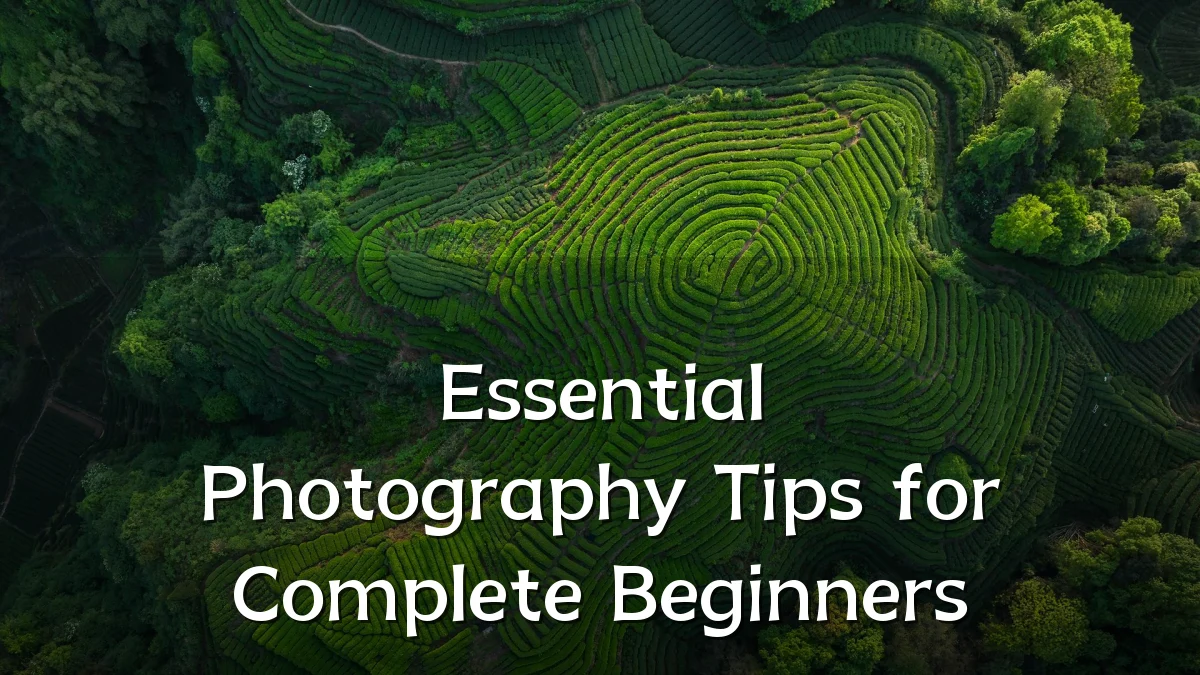 Essential Photography Tips for Complete Beginners