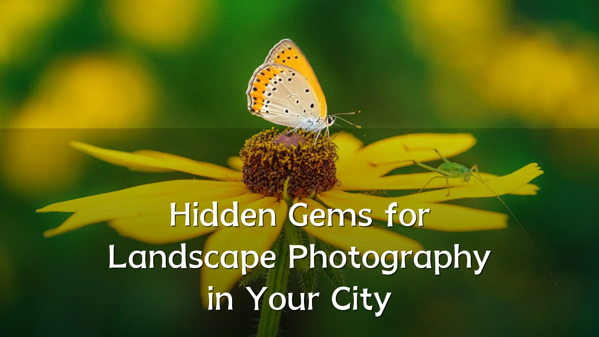 Hidden Gems for Landscape Photography in Your City