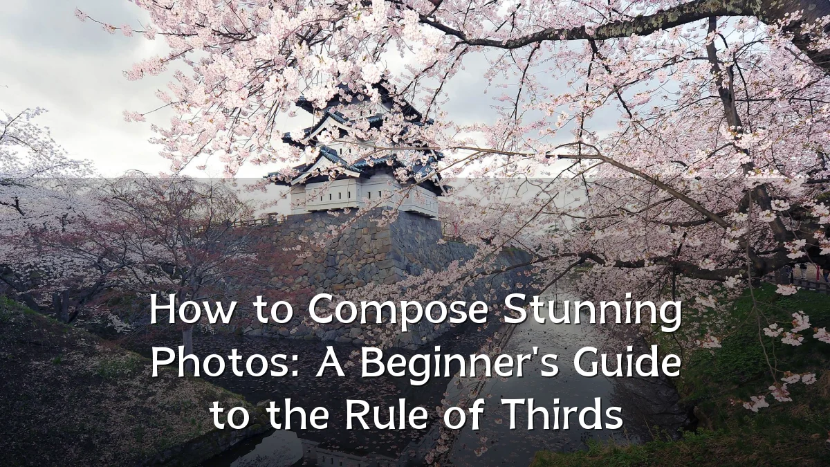 How to Compose Stunning Photos: A Beginner's Guide to the Rule of Thirds