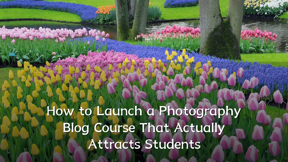 How to Launch a Photography Blog Course That Actually Attracts Students