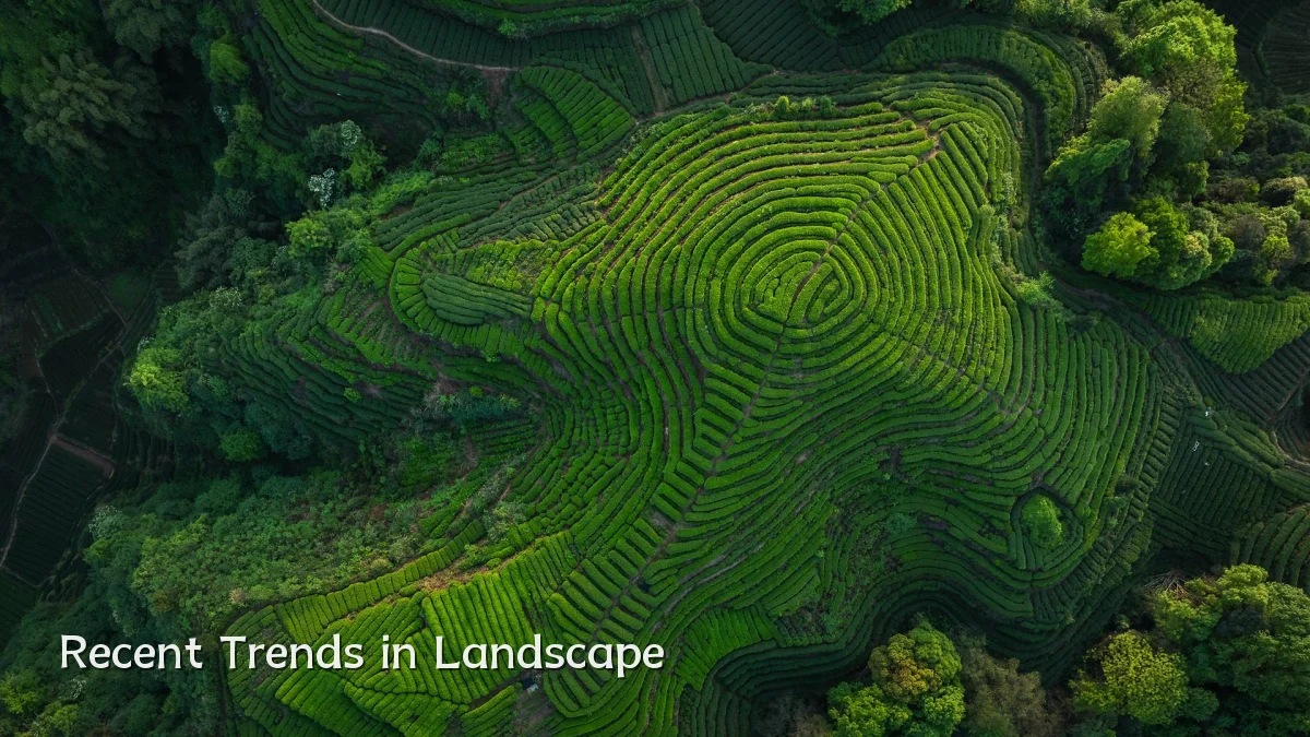 Recent Trends in Landscape