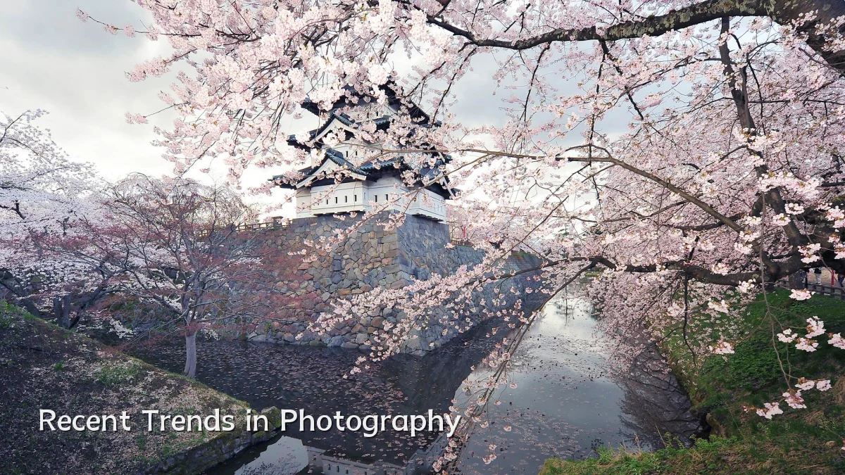 Recent Trends in Photography