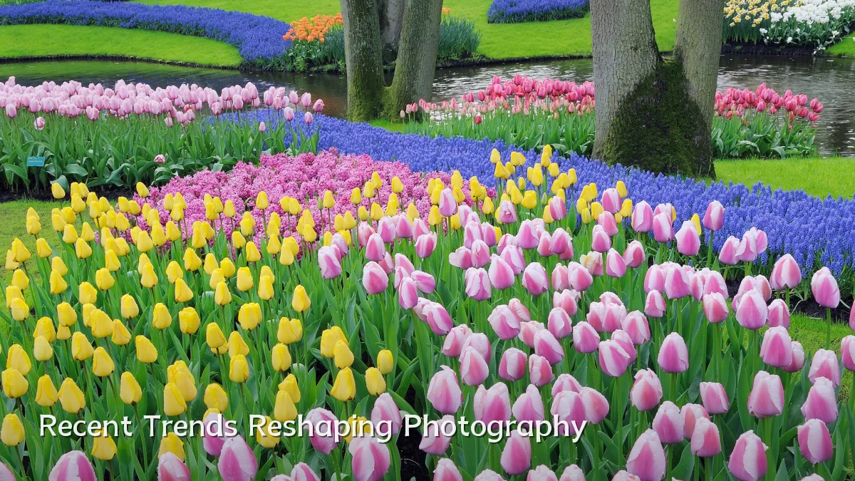 Recent Trends Reshaping Photography