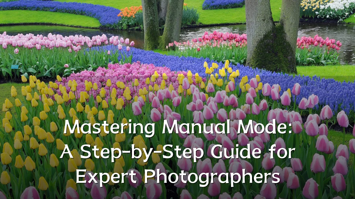 Mastering Manual Mode: A Step-by-Step Guide for Expert Photographers