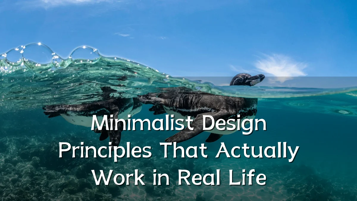 Minimalist Design Principles That Actually Work in Real Life