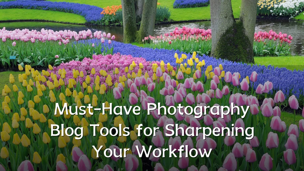 Must-Have Photography Blog Tools for Sharpening Your Workflow