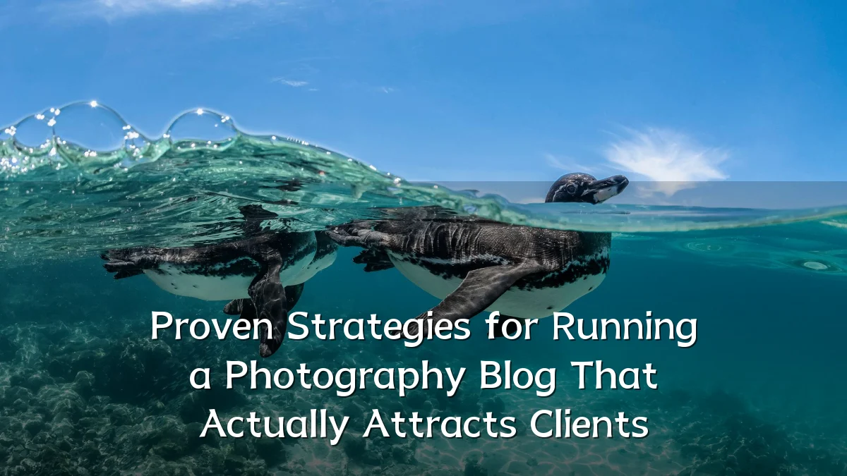 Proven Strategies for Running a Photography Blog That Actually Attracts Clients