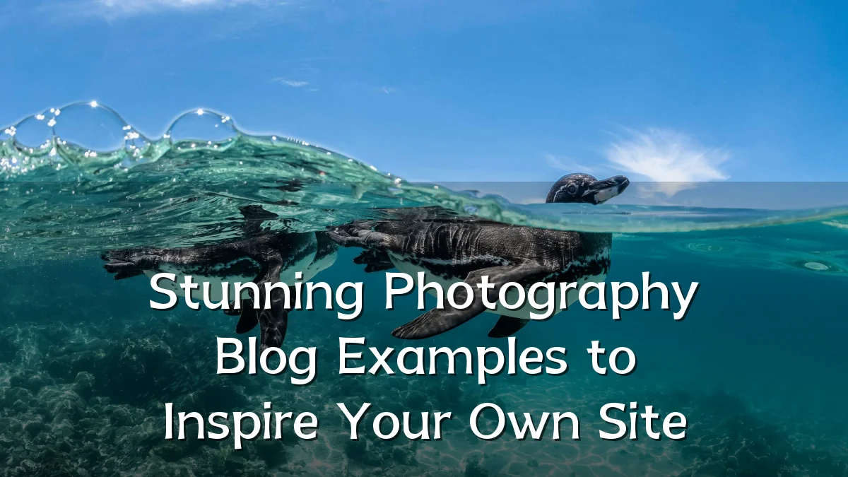 Stunning Photography Blog Examples to Inspire Your Own Site