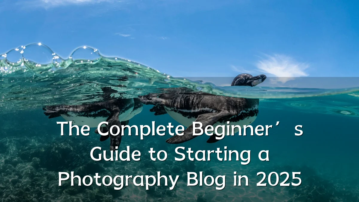 The Complete Beginner’s Guide to Starting a Photography Blog in 2025