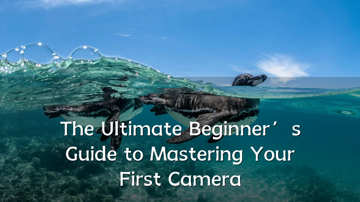 The Ultimate Beginner’s Guide to Mastering Your First Camera