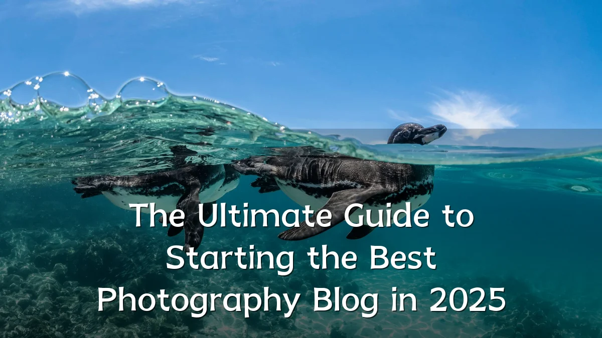 The Ultimate Guide to Starting the Best Photography Blog in 2025