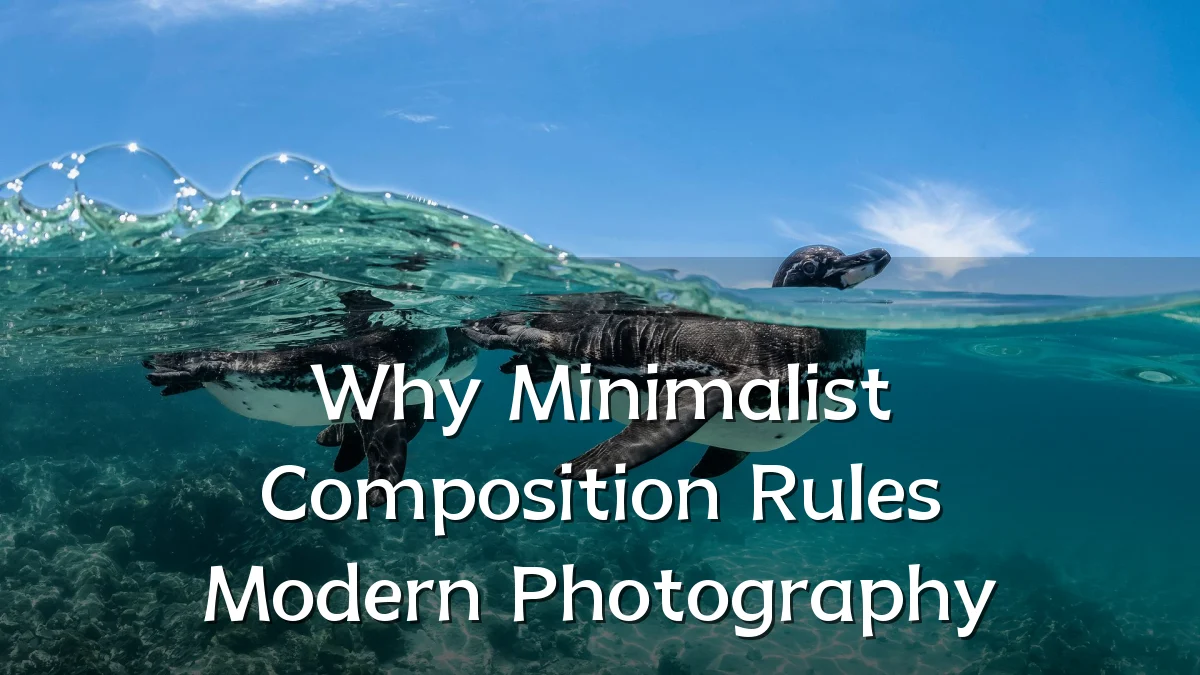 Why Minimalist Composition Rules Modern Photography