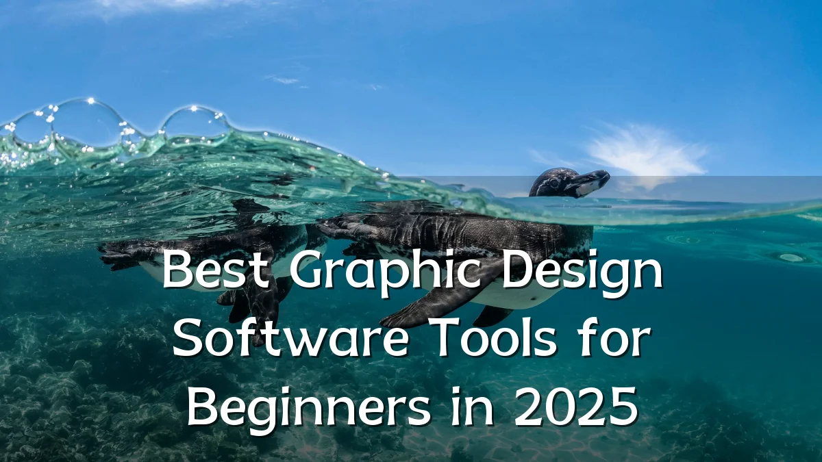 Best Graphic Design Software Tools for Beginners in 2025