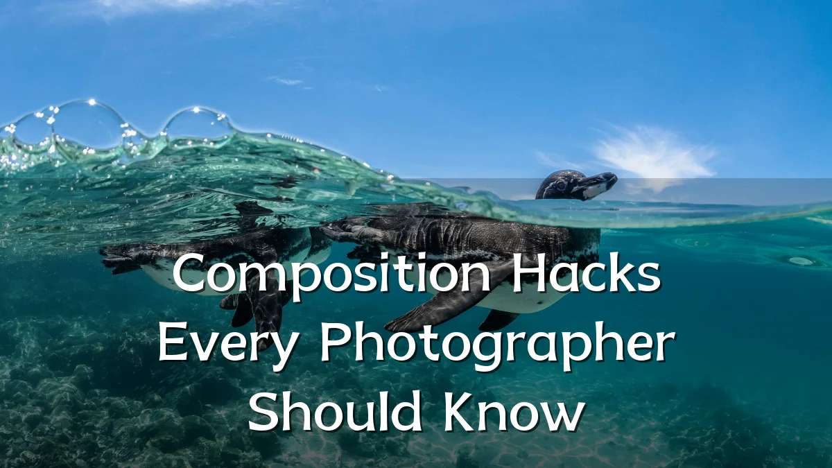 Composition Hacks Every Photographer Should Know