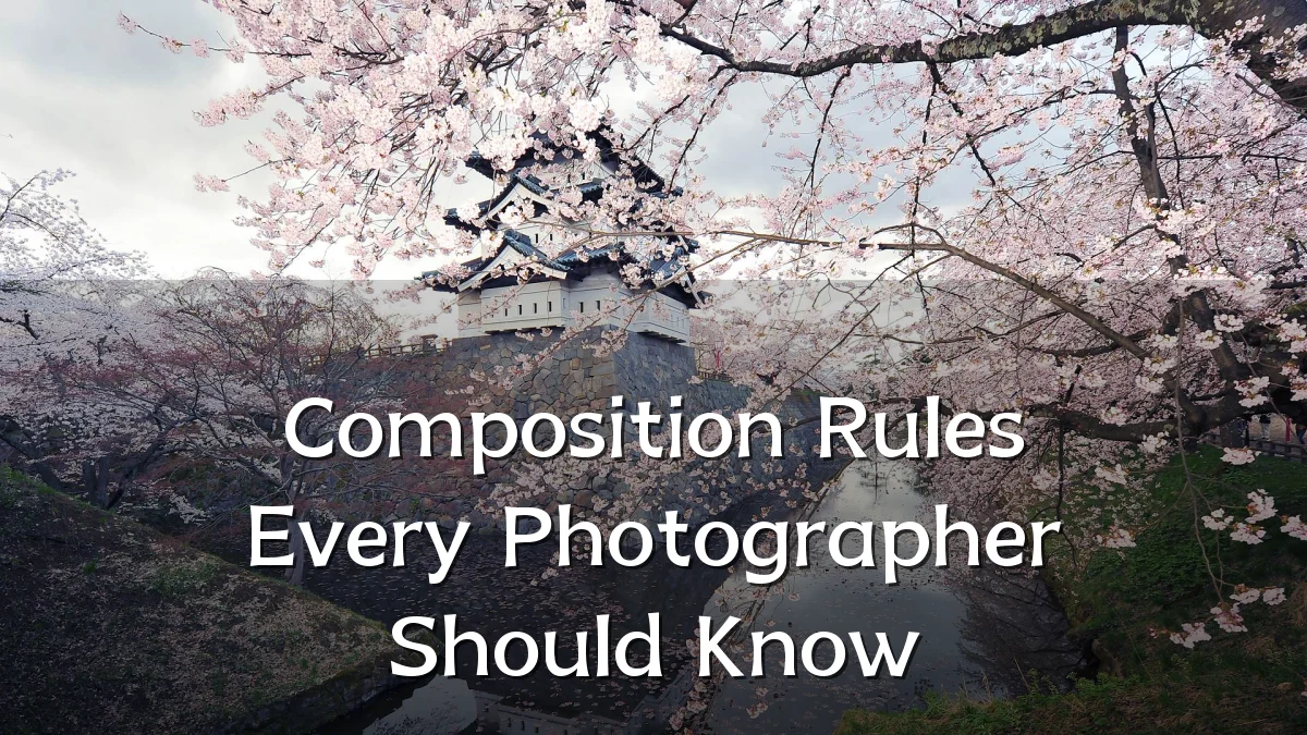 Composition Rules Every Photographer Should Know