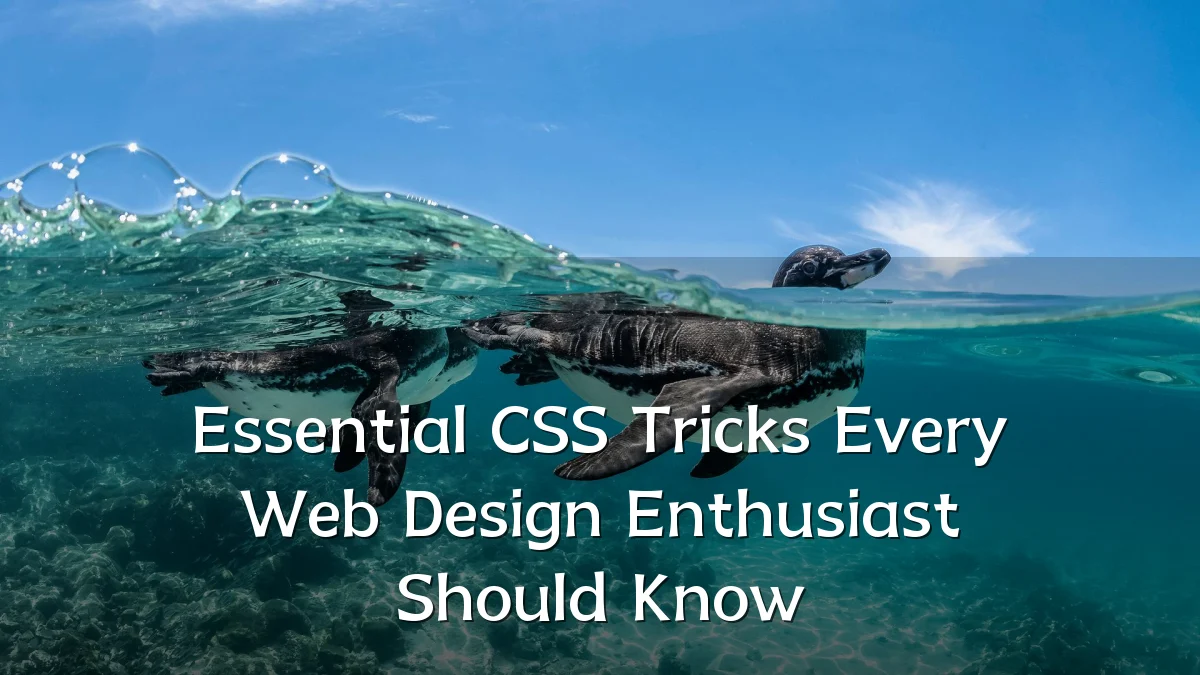 Essential CSS Tricks Every Web Design Enthusiast Should Know