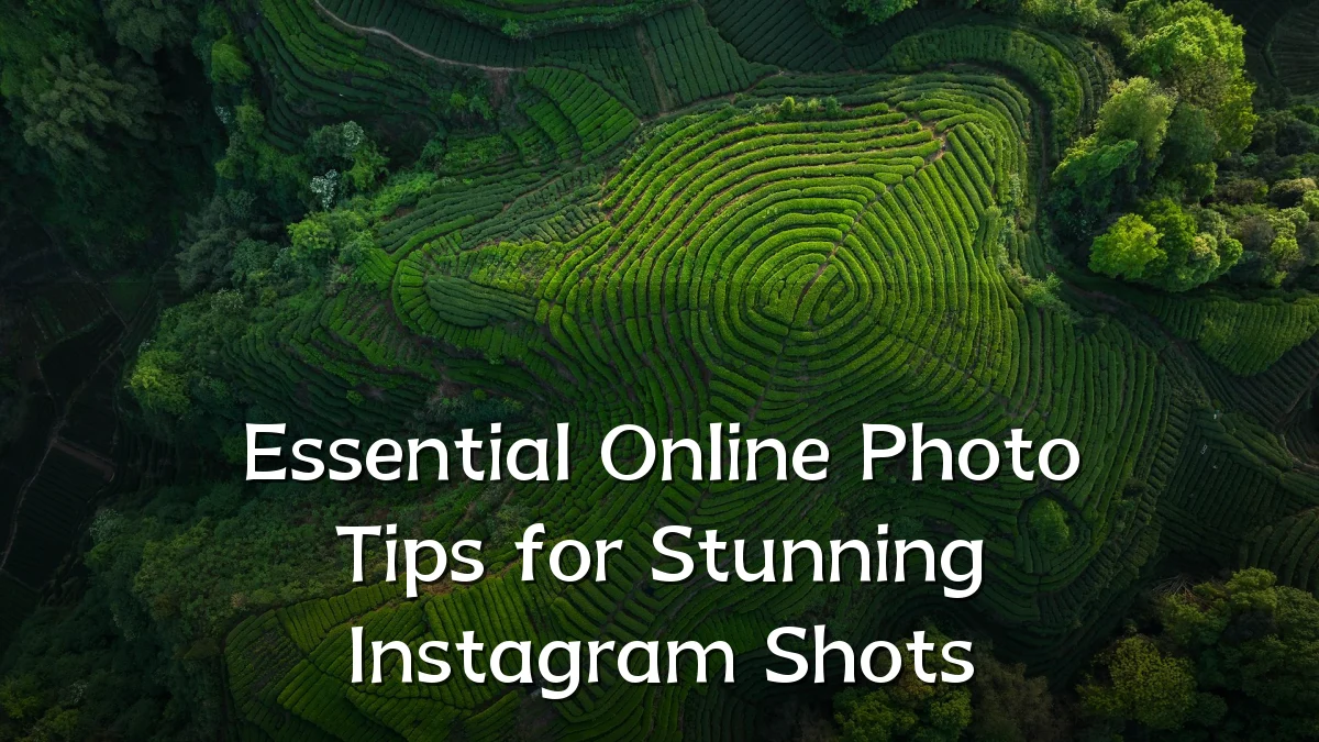 Essential Online Photo Tips for Stunning Instagram Shots