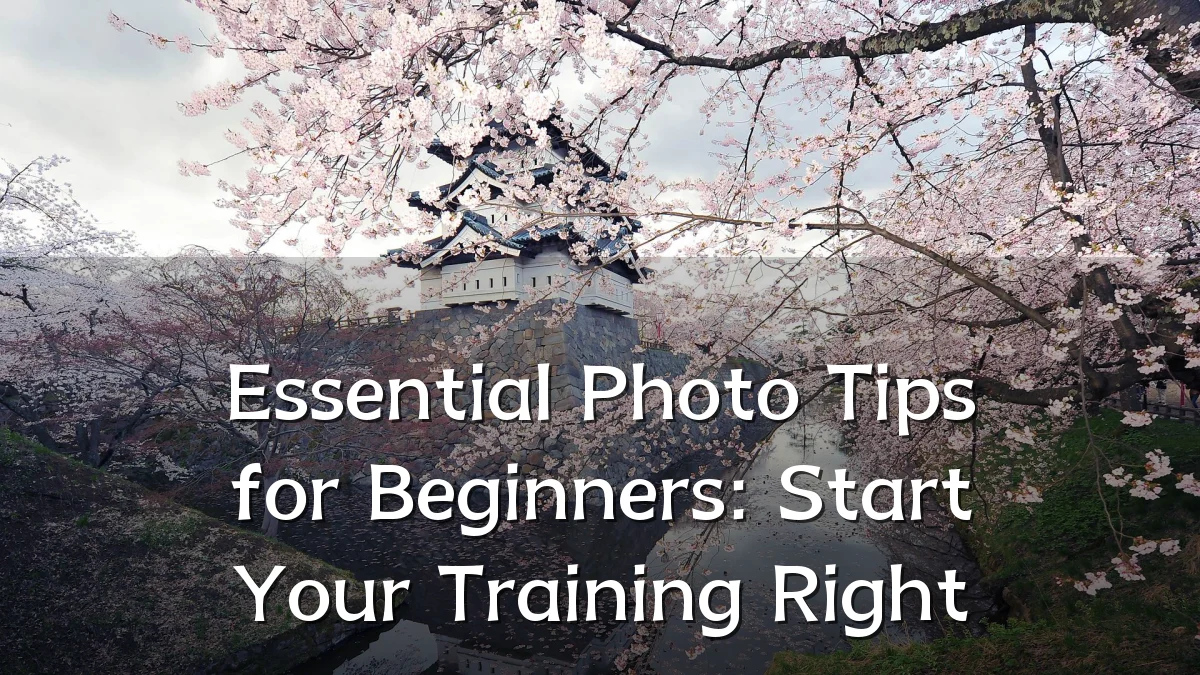 Essential Photo Tips for Beginners: Start Your Training Right