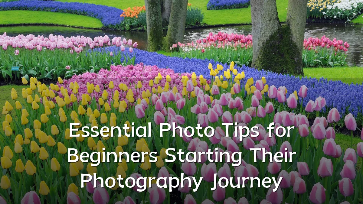 Essential Photo Tips for Beginners Starting Their Photography Journey