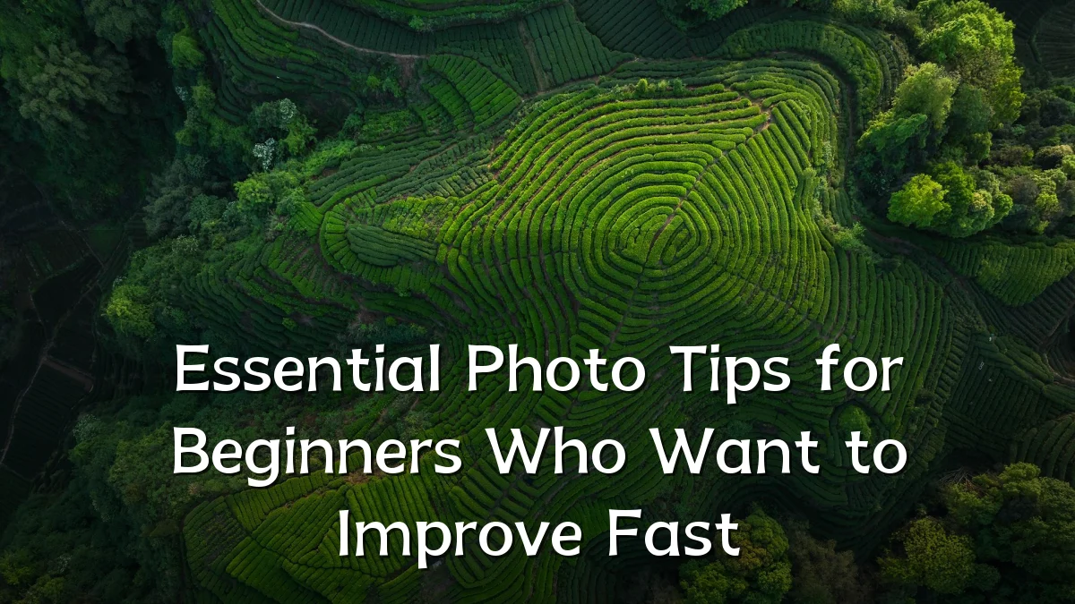 Essential Photo Tips for Beginners Who Want to Improve Fast