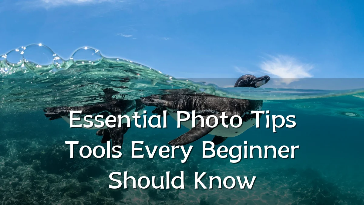 Essential Photo Tips Tools Every Beginner Should Know
