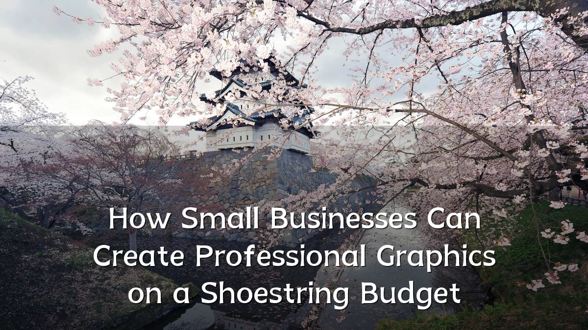How Small Businesses Can Create Professional Graphics on a Shoestring Budget