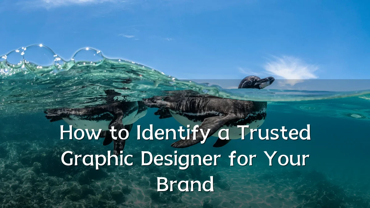 How to Identify a Trusted Graphic Designer for Your Brand