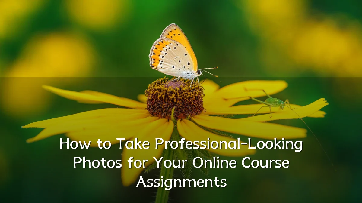 How to Take Professional-Looking Photos for Your Online Course Assignments