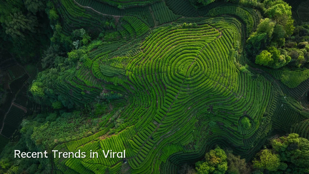 Recent Trends in Viral