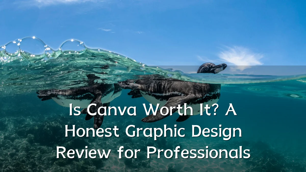 Is Canva Worth It? A Honest Graphic Design Review for Professionals