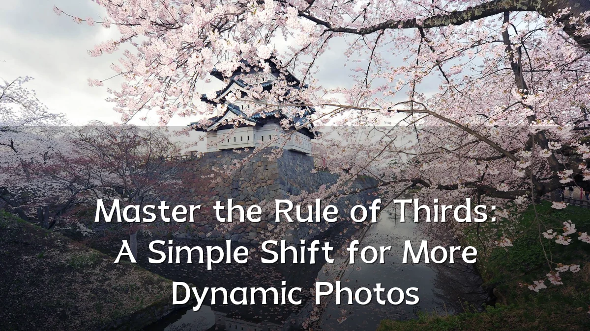 Master the Rule of Thirds: A Simple Shift for More Dynamic Photos