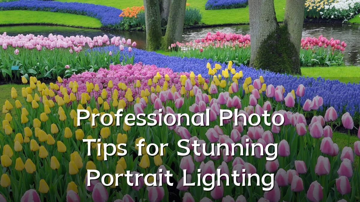 Professional Photo Tips for Stunning Portrait Lighting
