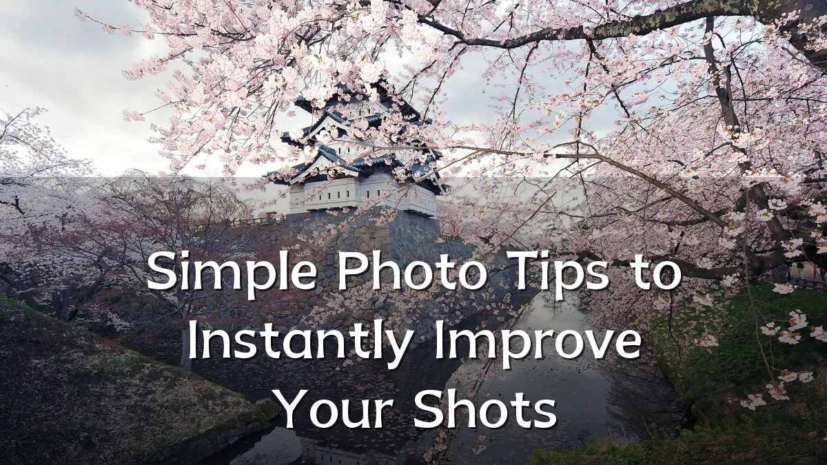 Simple Photo Tips to Instantly Improve Your Shots