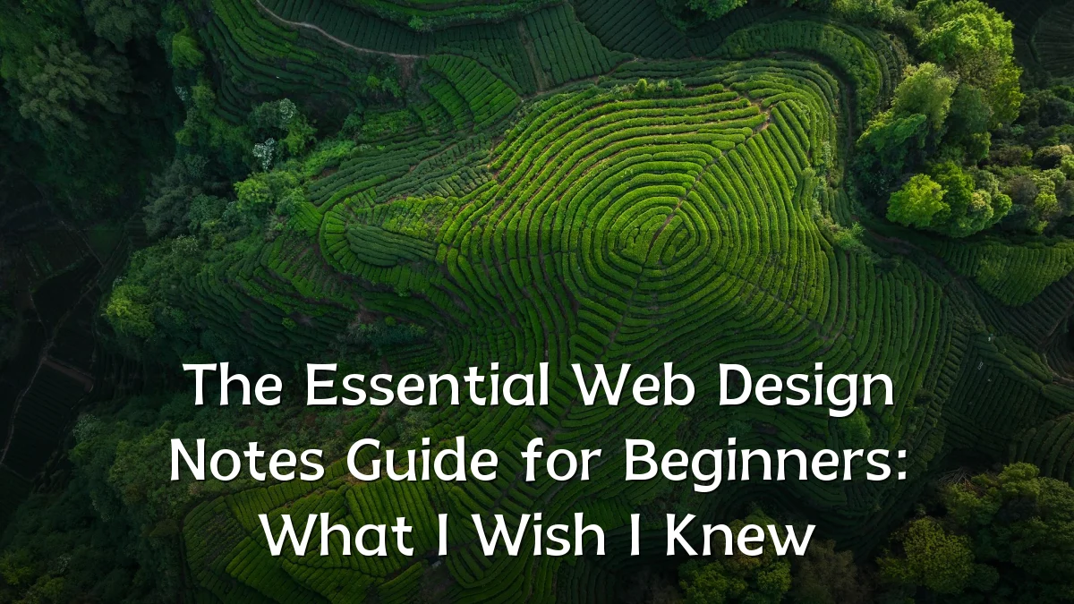 The Essential Web Design Notes Guide for Beginners: What I Wish I Knew