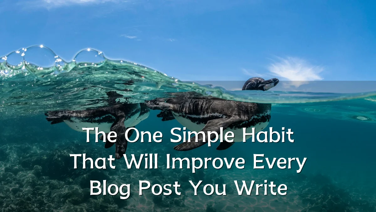 The One Simple Habit That Will Improve Every Blog Post You Write