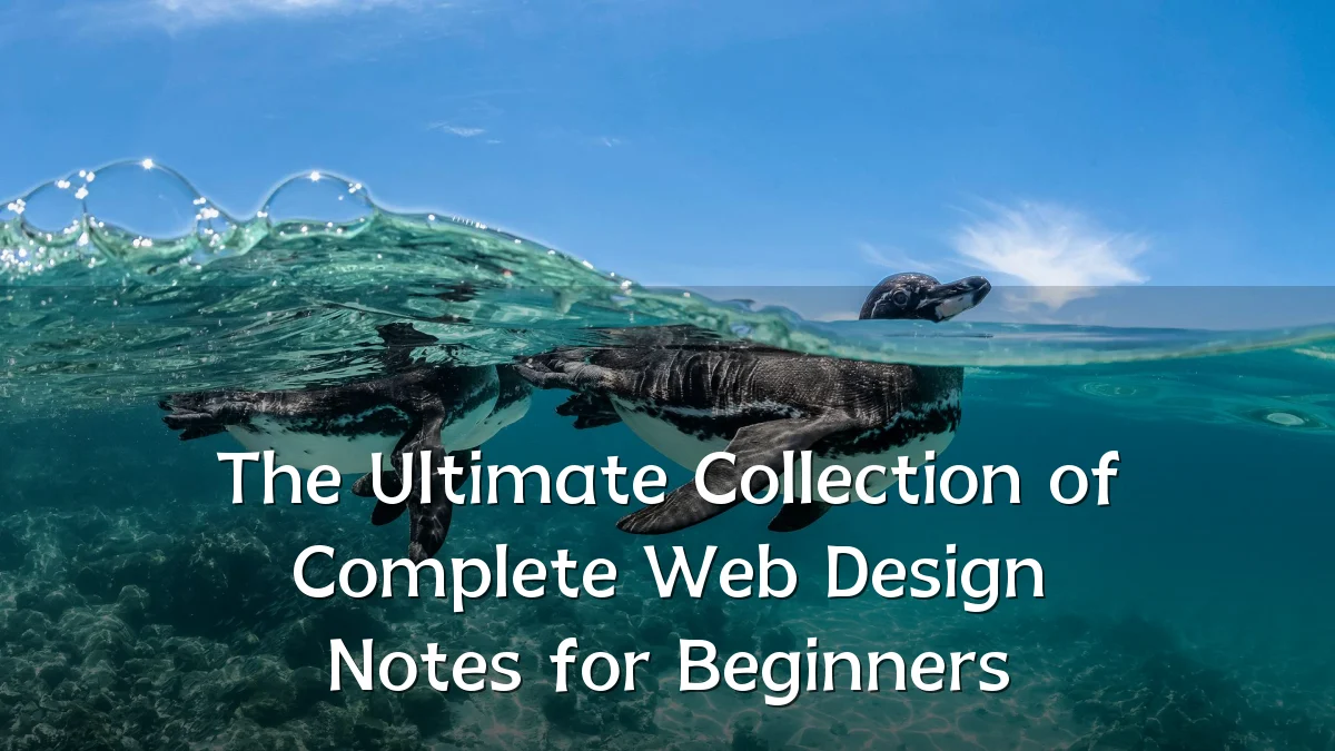 The Ultimate Collection of Complete Web Design Notes for Beginners