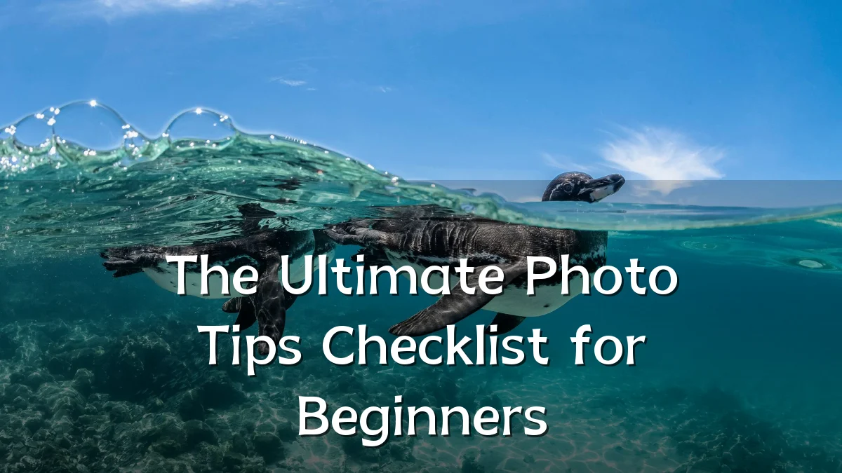 The Ultimate Photo Tips Checklist for Beginners