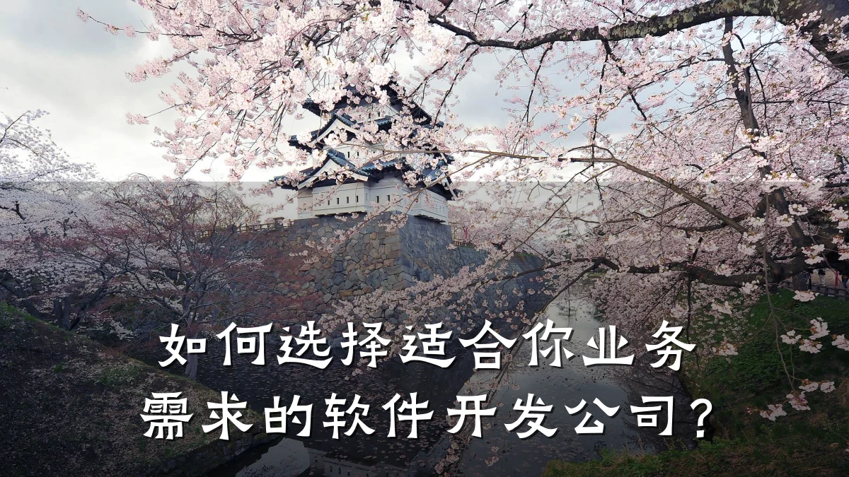 如何选择适合你业务需求的软件开发公司？